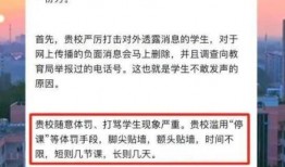 衡水教育爆料事件视频曝光,视频曝光揭示惊人内幕