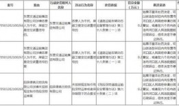 罚罪最新爆料新闻视频,剧情反转引热议，揭秘幕后真相