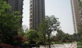 杭州东方郡爆料事件视频